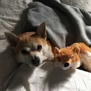 Meet your Posher, Lori